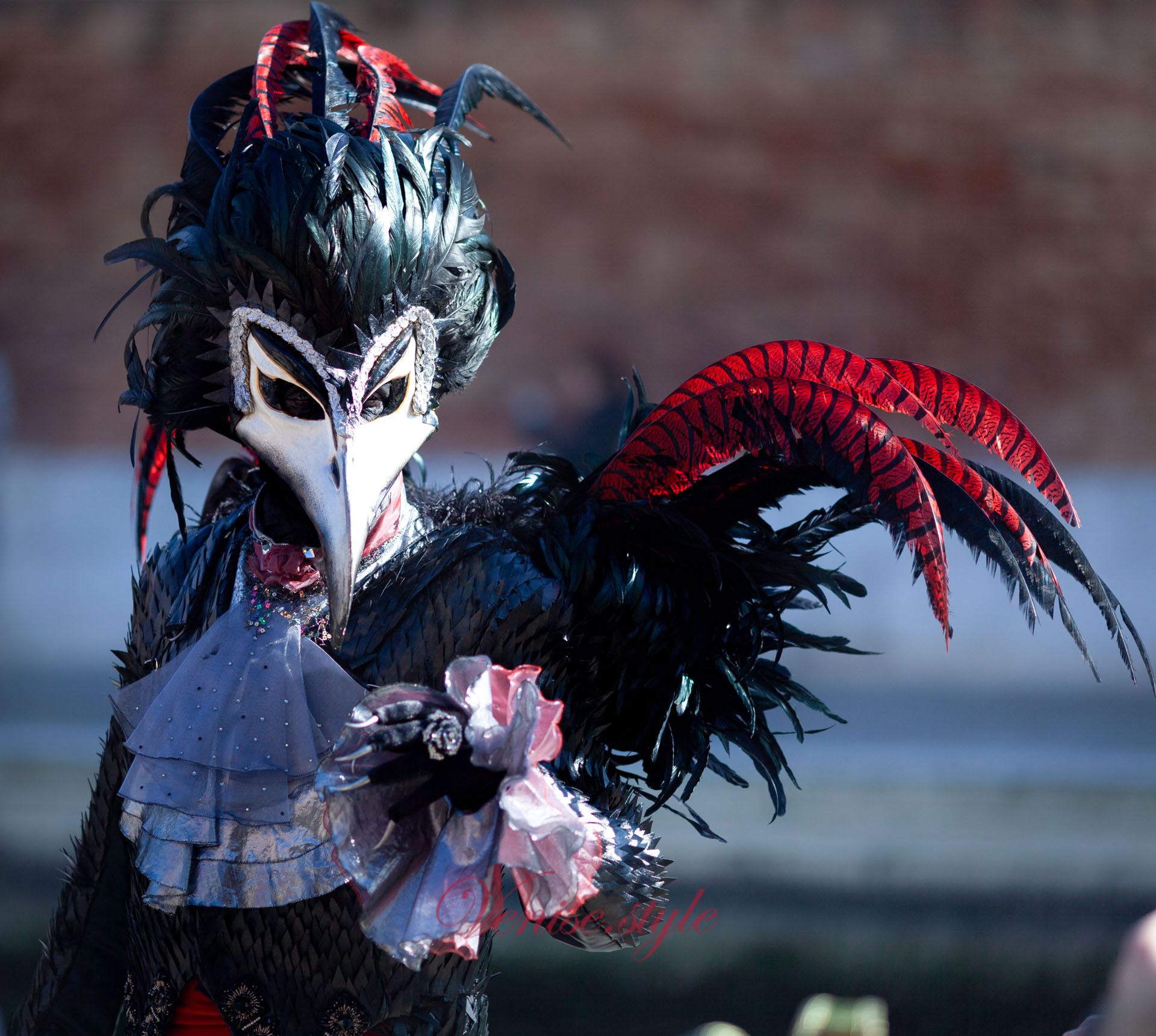 Carnaval de Venise 2019